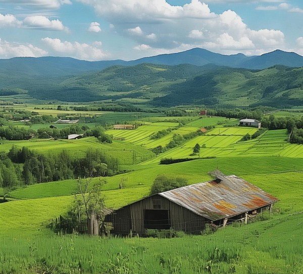 深耕农业科技沃土，助力乡村振兴——吉林省广顺农业科技开发有限公司的发展实践与价值贡献