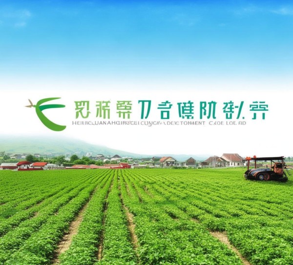 黑龙江双源农业科技开发有限公司，引领绿色农业发展，助力乡村振兴的科技力量